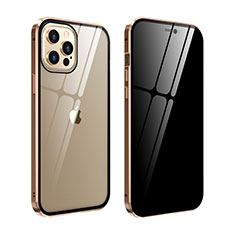 Handyhülle Hülle Luxus Aluminium Metall Rahmen Spiegel 360 Grad Ganzkörper Tasche T05 für Apple iPhone 12 Pro Gold