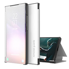 Handytasche Stand Schutzhülle Flip Leder Hülle ZL1 für Samsung Galaxy M21s Silber
