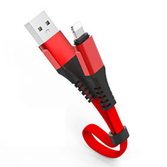 USB Ladekabel Kabel 30cm S04 für Apple iPhone 11 Rot