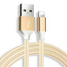 USB Ladekabel Kabel D04 für Apple iPad 3 Gold