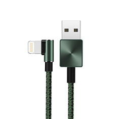 USB Ladekabel Kabel D19 für Apple iPhone 12 Mini Grün