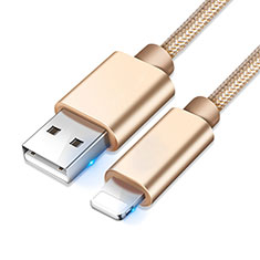 USB Ladekabel Kabel L08 für Apple iPhone 12 Mini Gold