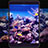 Schutzfolie Displayschutzfolie Panzerfolie Skins zum Aufkleben Gehärtetes Glas Glasfolie T03 für Xiaomi Mi Pad 2 Klar