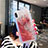 Silikon Schutzhülle Ultra Dünn Tasche Durchsichtig Transparent Blumen T03 für Apple iPhone X Rot