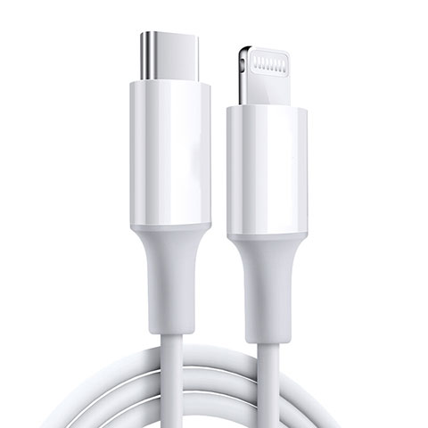 USB Ladekabel Kabel C02 für Apple iPad Pro 12.9 (2020) Weiß