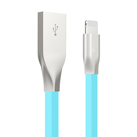 USB Ladekabel Kabel C05 für Apple iPad Pro 12.9 (2020) Hellblau