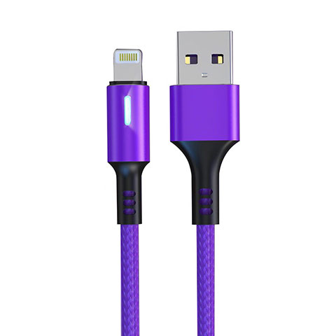 USB Ladekabel Kabel D21 für Apple iPhone 11 Pro Max Violett