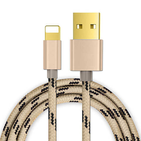 USB Ladekabel Kabel L01 für Apple iPad Pro 12.9 (2020) Gold