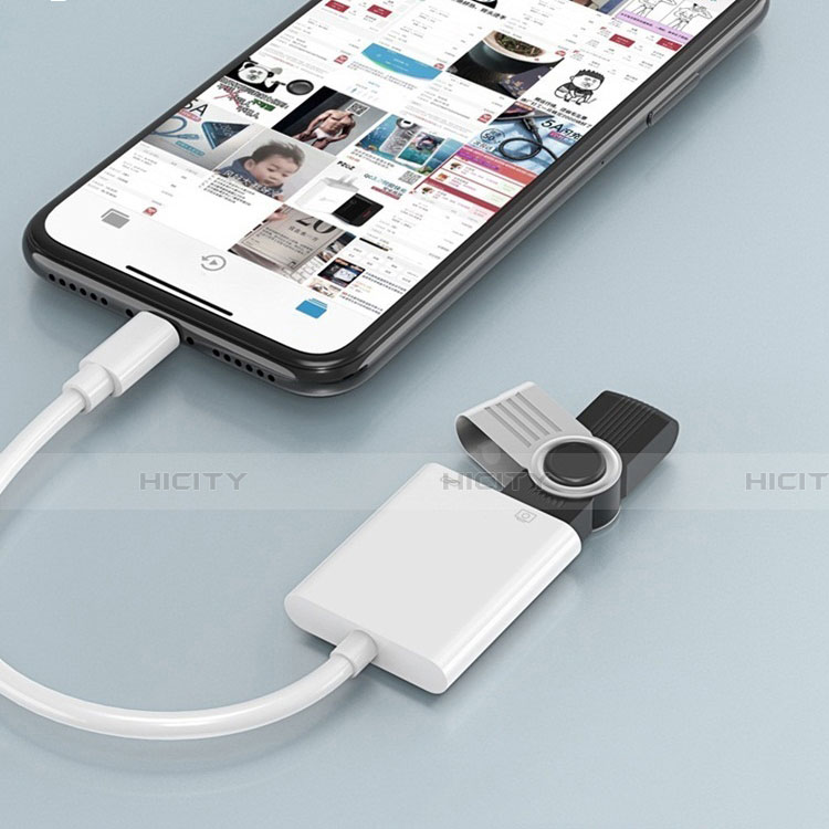 Kabel Lightning auf USB OTG H01 für Apple iPhone 12 Weiß