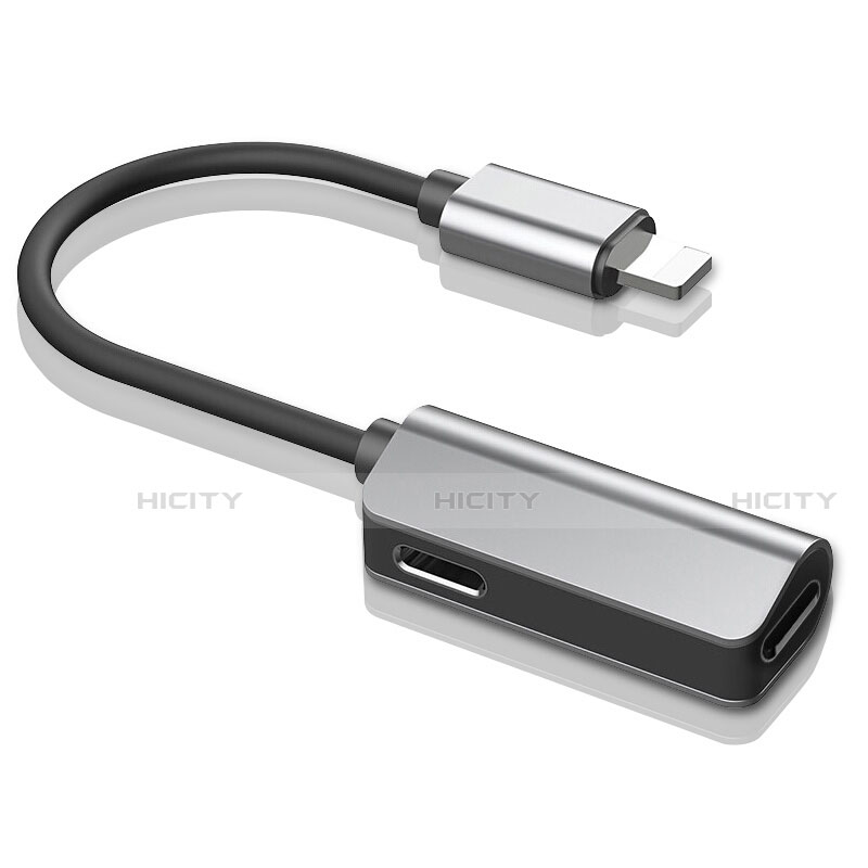 Kabel Lightning USB H01 für Apple iPhone 11 Pro Silber Plus
