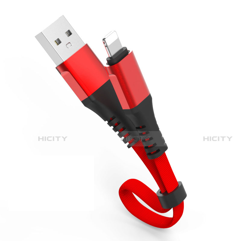 USB Ladekabel Kabel 30cm S04 für Apple iPhone SE3 (2022) Rot