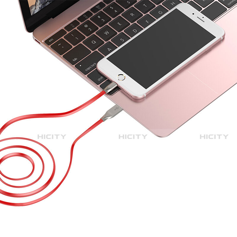 USB Ladekabel Kabel C05 für Apple iPhone 11 Pro Max groß