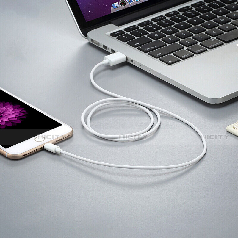 USB Ladekabel Kabel D12 für Apple iPhone SE3 (2022) Weiß groß