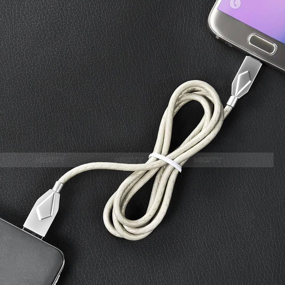 USB Ladekabel Kabel D13 für Apple iPhone 11 Pro Silber groß