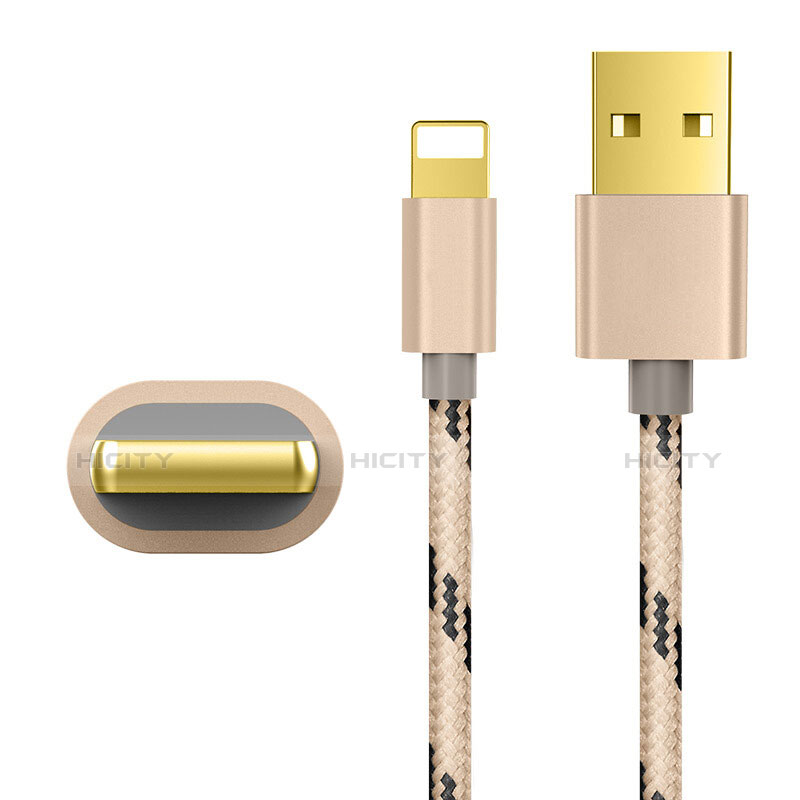 USB Ladekabel Kabel L01 für Apple iPad Pro 12.9 (2020) Gold groß