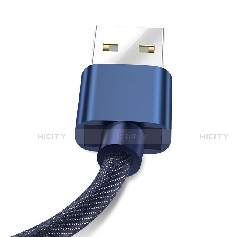 USB Ladekabel Kabel L04 für Apple iPhone 13 Blau groß