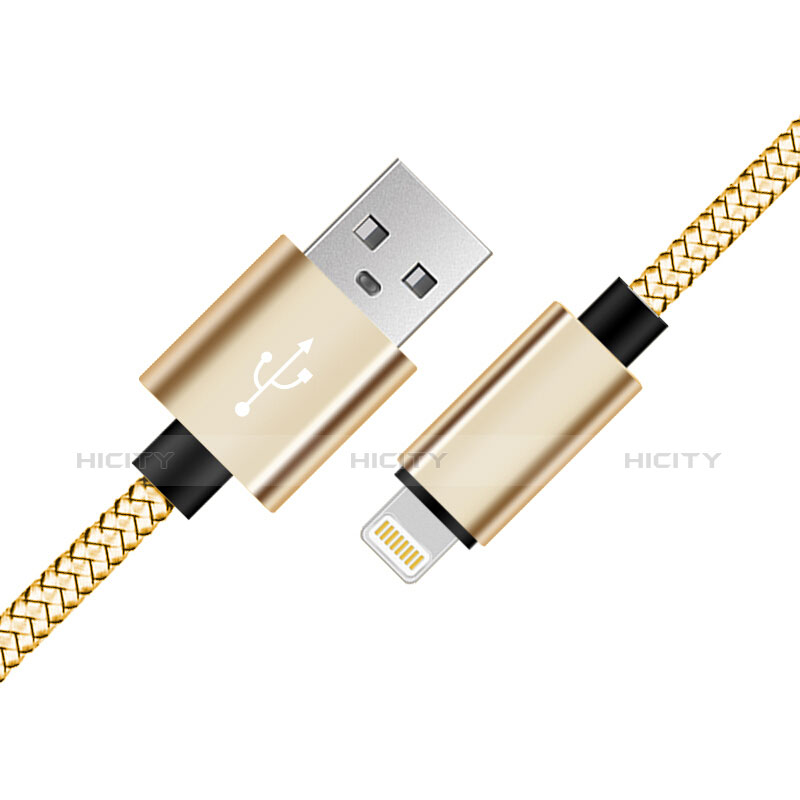 USB Ladekabel Kabel L07 für Apple iPad Mini 5 (2019) Gold groß