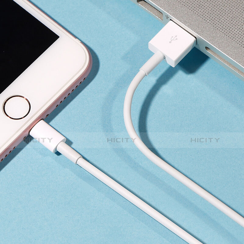 USB Ladekabel Kabel L09 für Apple iPhone X Weiß groß