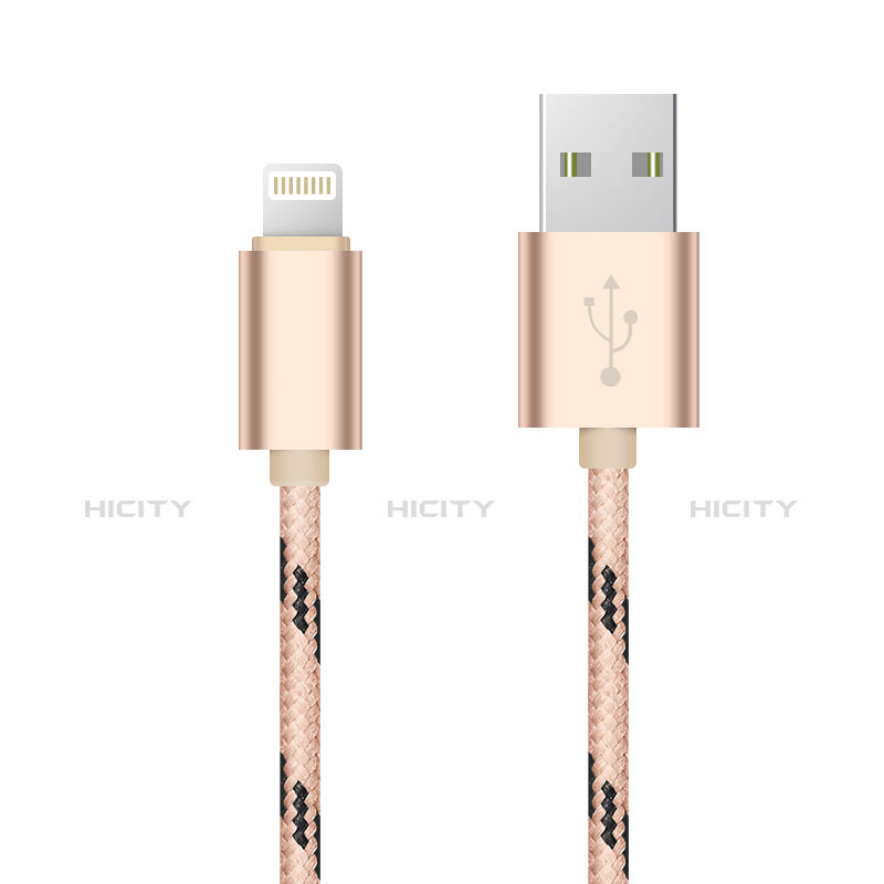 USB Ladekabel Kabel L10 für Apple iPad Mini 3 Gold groß