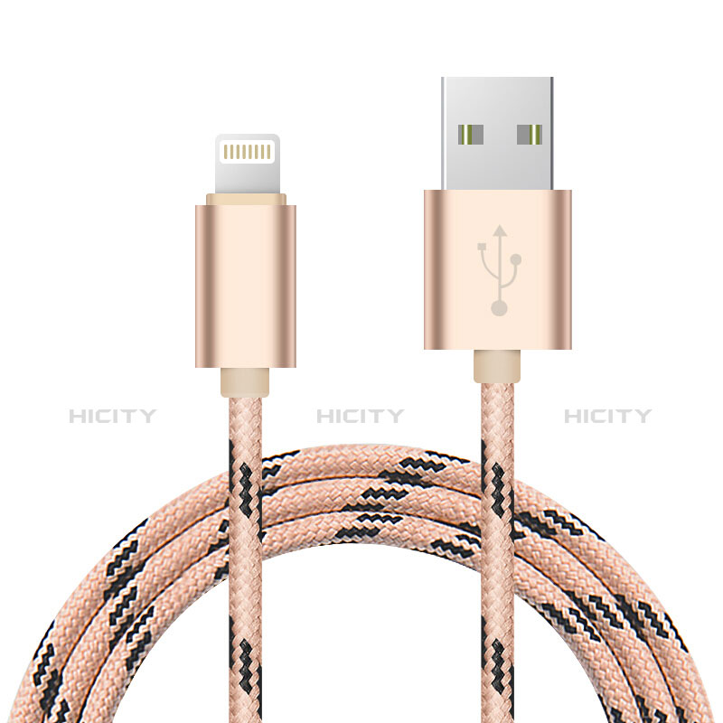 USB Ladekabel Kabel L10 für Apple iPad Mini 5 (2019) Gold groß