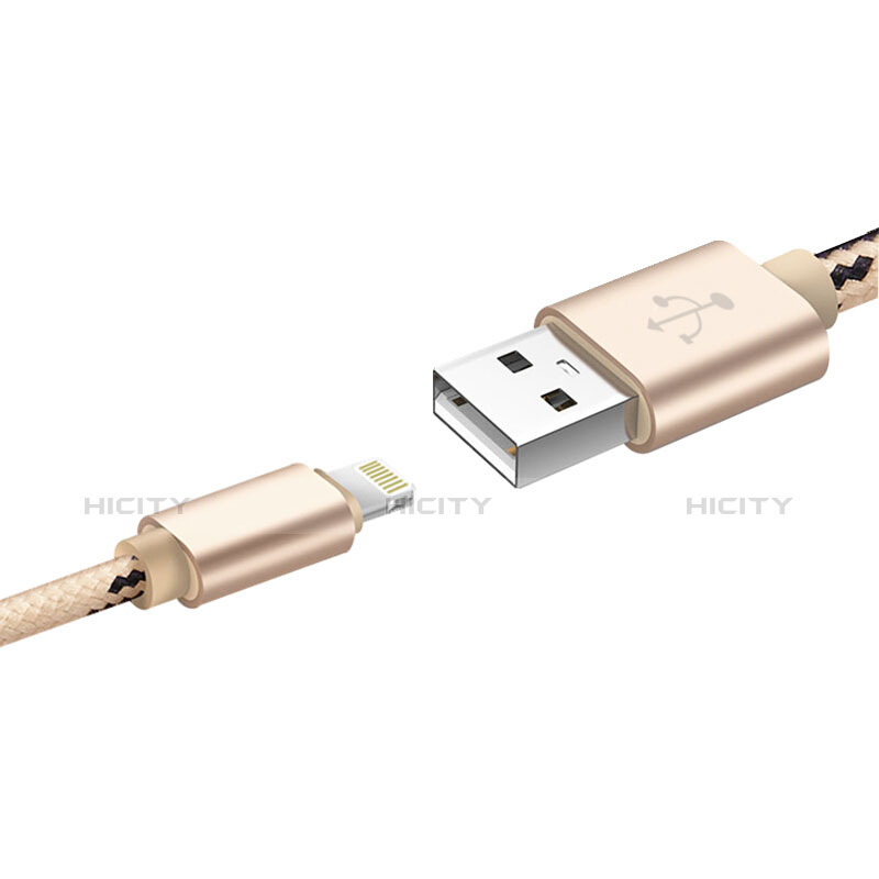 USB Ladekabel Kabel L10 für Apple iPad Pro 12.9 (2020) Gold groß