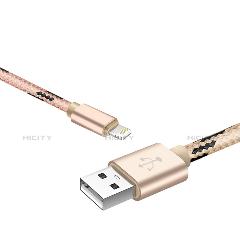 USB Ladekabel Kabel L10 für Apple iPhone 11 Gold groß
