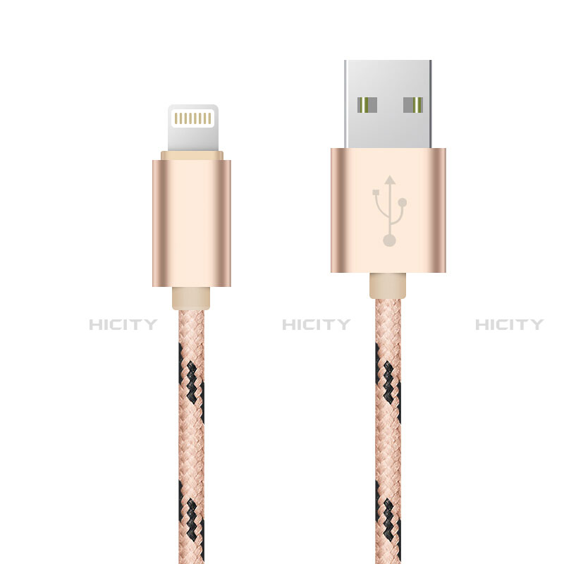 USB Ladekabel Kabel L10 für Apple iPhone 13 Pro Max Gold groß