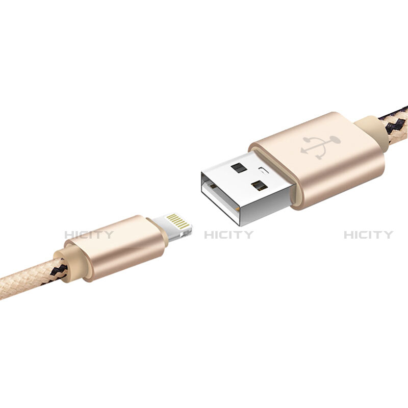 USB Ladekabel Kabel L10 für Apple iPhone 13 Pro Max Gold groß