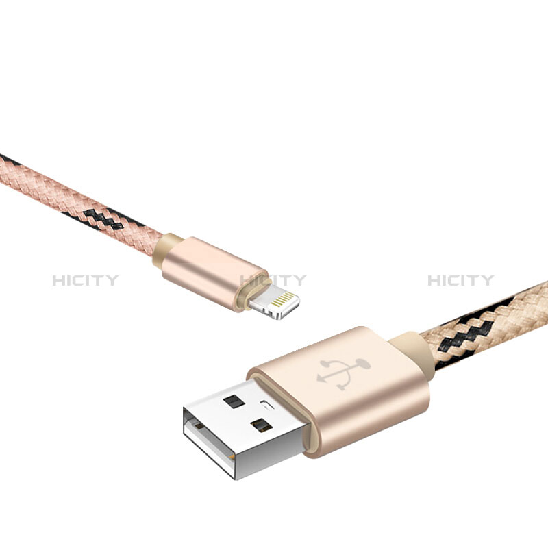 USB Ladekabel Kabel L10 für Apple New iPad 9.7 (2018) Gold groß
